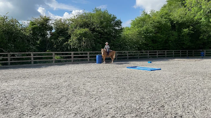 HY Green non pro ranch trail/May - Sue Alexander/S...