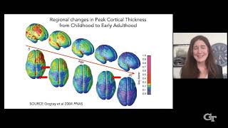 Famous "Developmental Cognitive Neuroscience in an Age of Discovery" Profile