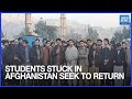 افغانستان میں پھنسے 200 کے قریب پاکستانی طلباء واپسی کی کوشش کر رہے ہیں ڈان نیوز انگریزی 