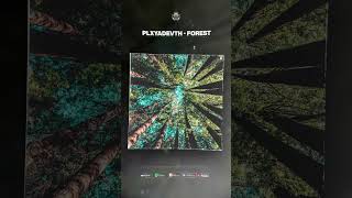 Трек Forest Уже На Всех Площадках