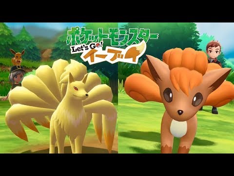 ピカブイ ロコン キュウコンのマスタートレーナーとバトル ポケモンレッツゴー イーブイ Youtube