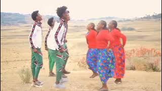 oromo music 🎶  Ayyalaa nugusee  _finffinnee bahafanii