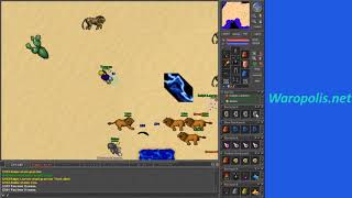 Waropolis.net