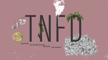 The TNFD: What it is, who