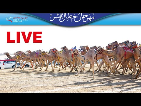 بث مباشر مهرجان خطاك الش ر لقايا المرموم 3 11 2020 صباحا 