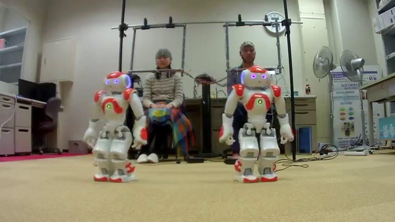 Direct brain-robot control of robots with cVEP BCIs by two users