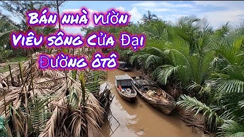 Tập 535: 🥭🥥🍇Bán nhà vườn ao cá. Đường ôtô, viêu sông Cửa Đại cực kỳ mát mẻ. Giá siêu rẻ.