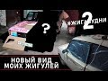 Преображение моих Жигулей! Что с ними стало? (#ЖигаБудни 2)