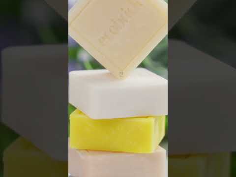 샴푸바 하나로 탄소 중립 실천? 🧴✨ EWG 1등급 비건 샴푸바의 충격적인 진실