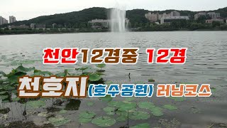 천호지 호수공원 러닝코스 [천안12경중 야경이멋있는12경]