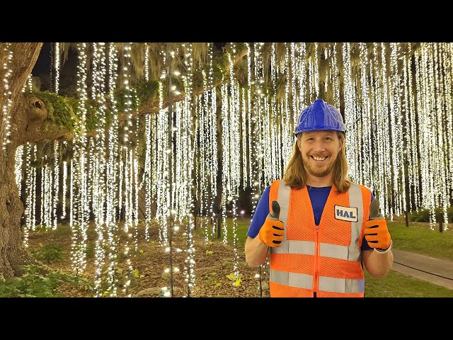 The Ultimate Guide for Holiday Lighting — The Family Handyman