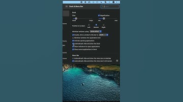 Hide Dock on Mac