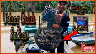 Udang Galah Sg.Suai | trip pembukaan 2022 pecah rekod 8.1kg!!! #udanggalah #mancingudanggalah
