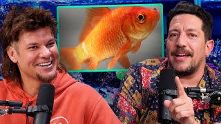 Sal Vulcano&#39;s INSANE Goldfish Story