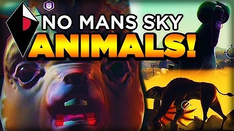 Coolest, Craziest, Stupidest Animals in No Man
