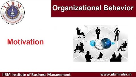 IIBM Institute | Organizational Behavior | Motivation