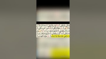 Surat Al-Layl /  سورة الليل (Tarteel ترتیل +  Surah Al lail || 092 - The Night