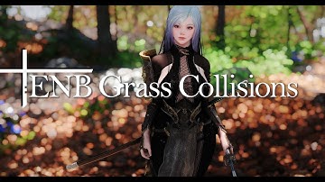 2022 SKYRIM MOD INFO I ENB Grass Collisions