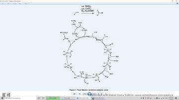 22 30 Tsuji-Wacker Oxidation of Alkenes