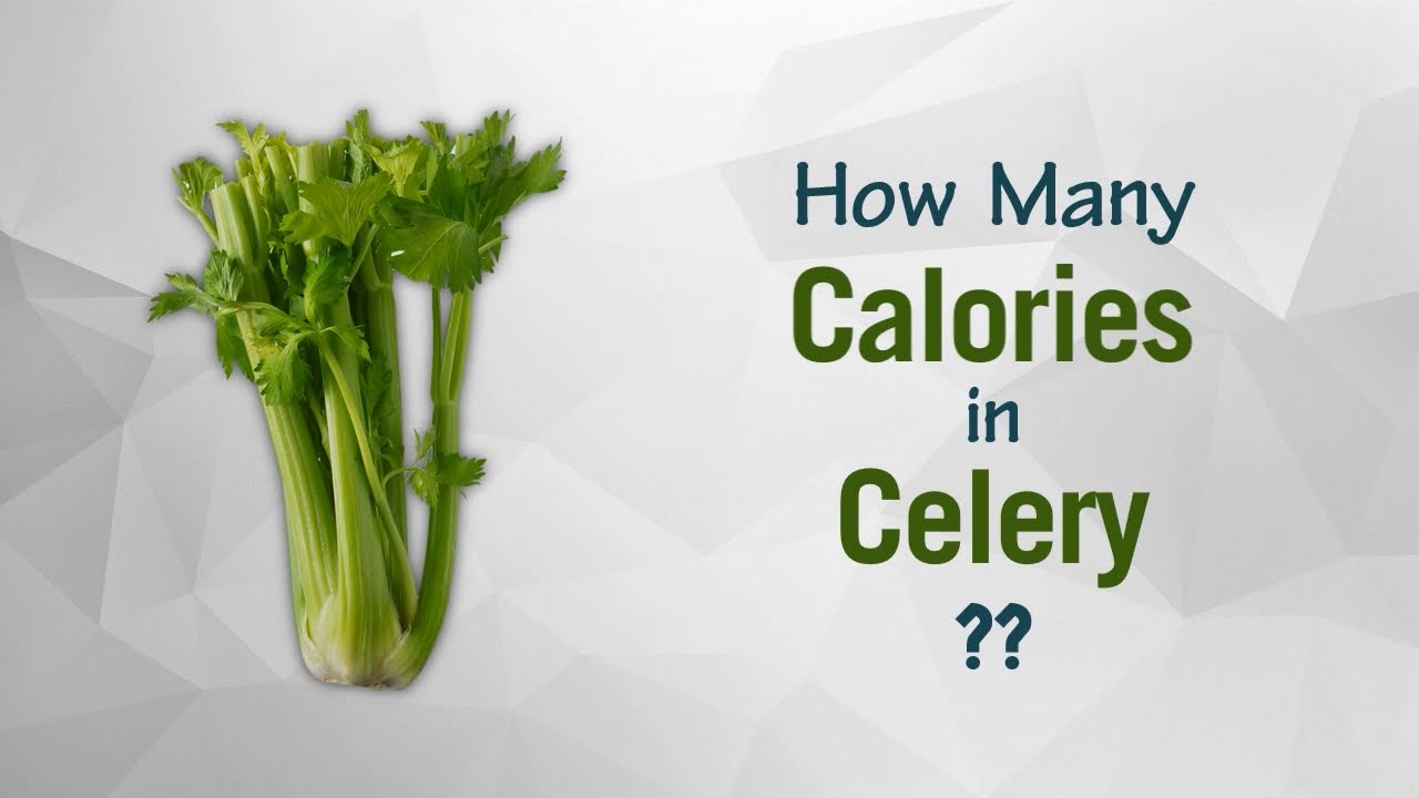 Healthwise Diet Calories, How Many Calories in Celery? Calories Intake and Healthy Weight Loss