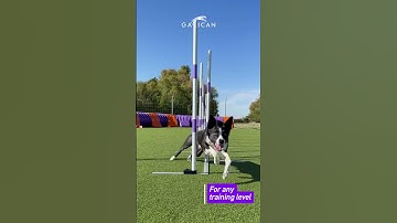 New Galican Channel Slalom – Profi-approved by Adrián Bajo