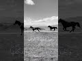 فتى يخوض غمار الحرب مبتسما خليل البلوشي