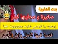 صغيرة و دوخت قبيلة الشاوية الفحلة روووداتهم كااامل