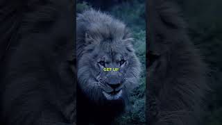 Get Up No One Is Coming To Save You  It Has To Be You Its All On You motivation fyp