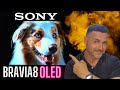 SONY BRAVIA 8 OLED New Look For Sony