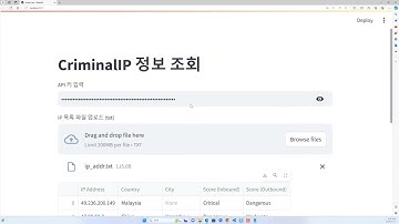 파이썬 streamlit 활용한 Criminal IP 정보 조회 서비스 #python #osint
