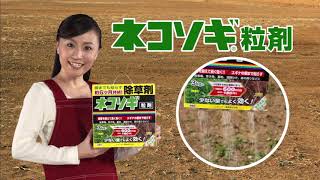 ﾈｺｿｷﾞｼﾘｰｽﾞ「雑草生やさない」篇（レインボー薬品）