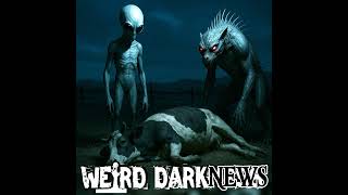 Ranchers Find Mutilated Cattle With 'Laser Burns' - Aliens or Chupacabra?