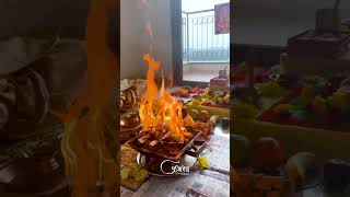 Golden Lizard – A Sacred Vastu Remedy for Energy Alignment