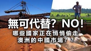 20201230E【無可代替？】NO！哪些國家正在悄悄偷走澳洲的中國市場？？ |  芒向快報