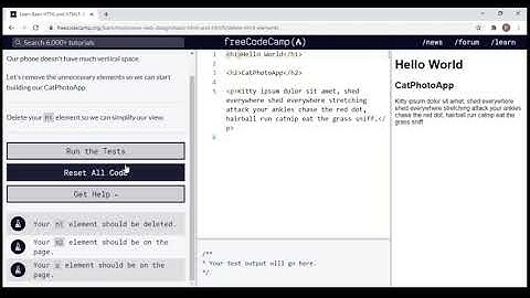 Basic HTML and HTML5 Delete HTML Elements - FreeCodeCamp
