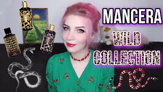 видео: MANCERA wild collection. Ароматы МАНСЕРА дикая коллекция.Отзывы,обзор/Вайлд Коллекшн картинка: MANCERA wild collection. Ароматы МАНСЕРА дикая коллекция.Отзывы,обзор/Вайлд Коллекшн