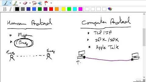 Loop Avoidance Nanda Day4 Network Engineer Part 1