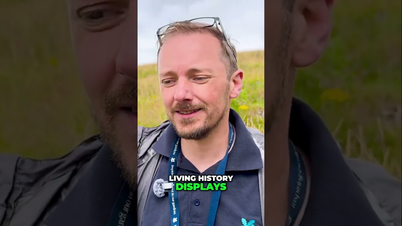 Discover England's Hidden History? Archaeology Event for the Whole Family!