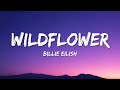 Billie Eilish WILDFLOWER Lyrics