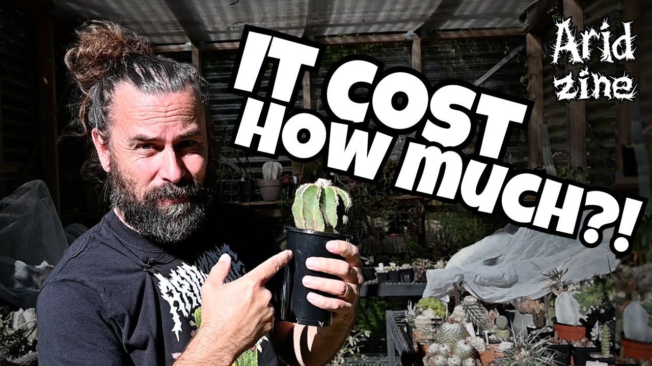 $5 or $500: How Cacti Get Their Pricetags