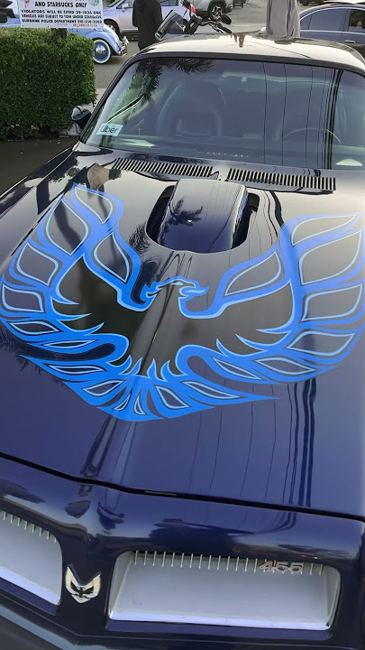 #Firebird #Corvette #Bobs #big block #Buick #Friday #MuscleCars #CarShow ￼