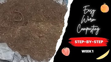 Worm Composting - Part 1 Week 1