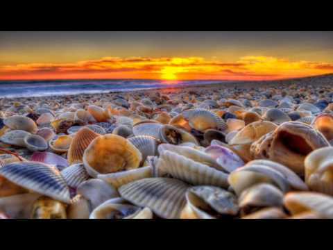 Seashells — Seashells - Break of Dawn (Franky Fonell and Chris Reece Mix)