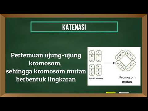 Video: Chromoanagenesis: Cataclysms Di Belakang Susunan Kromosom Yang Rumit