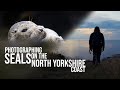 Photographing Seals: Wildlife Photography on the North Yorkshire Coast.