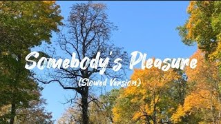 Somebody's Pleasure (Slowed Version)