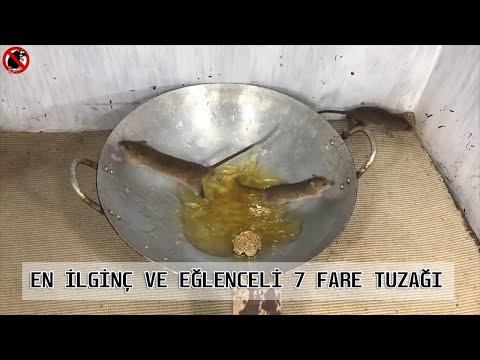 Dahice Yapılmış 7 Fare Kapanı - En Basit ve Eğlenceli fare kapanları - En İyi Fare tuzakları#3