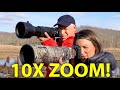 Sigma 60-600 vs Sony 200-600: BEST WILDLIFE ZOOM LENS!