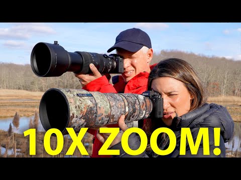 Sigma 60-600 vs Sony 200-600: BEST WILDLIFE ZOOM LENS!