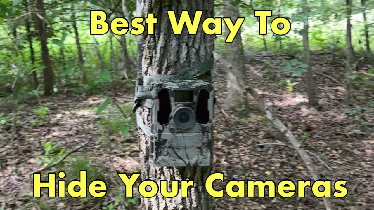 Premium Cell Cam Skin Tip To Hide Cameras In The Woods! hunting 